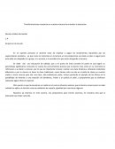 Transformaciones necesarias en nuestra manera de entender la educación