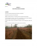 VISITAS TÉCNICAS CAMPOS JULIO GIDDINGS