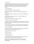 PROCESO DE SEGMENTACION DE MERCADO