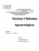 MINISTERIO DEL PODER POPULAR PARA LAS RELACIONES INTERIORES, JUSTICIA Y PAZ