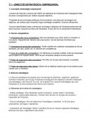 DIRECCIÓ ESTRATÈGICA I EMPRESARIAL