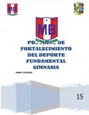Fortalecimiento del deporte fundamental gimnasia en la I.E. mariscal Benavides Lunahuaná - 2015