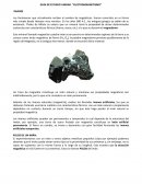 Los fenómenos que actualmente reciben el nombre de magnéticos