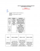 EJEMPLO DE PLAN DE VIDA LABORAL