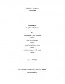 Inducción a la empresa informes