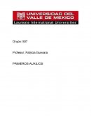 RESEÑA PRIMEROS AUXILIOS
