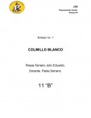 Ensayo sobre Colmillo Blanco
