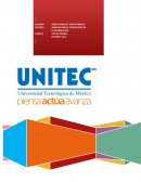 Negociación de Tecnologías de Información: Planificación, competencia