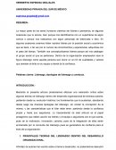 La mayor parte de los seres humanos creemos ser líderes o pensamos