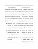 LA NUEVA ACCIÓN CORRECTIVA