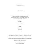 Estudio de caso pesonalidad