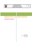 Portafolio raices culturales