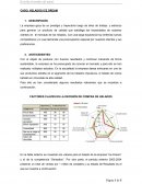 Marketing CASO: HELADOS ICE DREAM