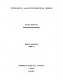 DETERMINACIÓN DE ALGUNAS PROPIEDADES FÍSICAS Y QUÍMICAS