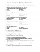 Prueba sistema circulatorio 5° año