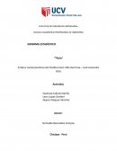 Estatus socioeconómico del Pueblo Joven Villa Hermos