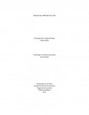 ANALISIS DEL MERCADO DEL CAFÉ