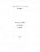 Estructura legal de una empresa
