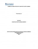 ARPRO ARQUITECTOS INGENIEROS S.A