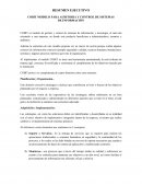 Resumen ejecutivo - modelo Cobit
