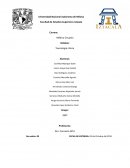 Toxicología clínica Médico Cirujano