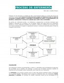 Proceso de atención de enfermeria. VALORACIÓN
