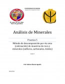 Método de descomposición por vía seca (calcinación) de muestras de roca y minerales (sulfuros, carbonatos, óxidos)
