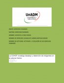 Actividad. Evolución de los Derechos Humanos