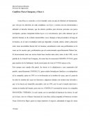 Conflicto Finca Changena