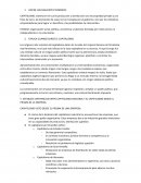 CAPITALISMO VISTO DESDE EL PRISMA DE UNA EMPRESA