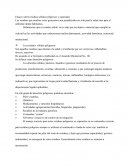 Ensayo sobre residuos sólidos peligrosos y especiales