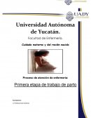 PRIMERA ETAPA DEL TRABAJO DE PARTO