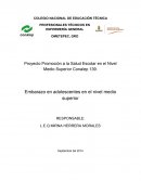 La diversidad de problemas de salud, sociales y de seguridad relacionados