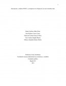 Descripción y Análisis PESTE y su Impacto en la Empresa Cyres de Colombia Ltda