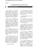 LAS HIPÓTESIS DE INVESTIGACIÓN