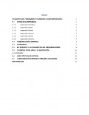 Equipo Culinario y Técnicas de cocción