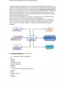 Contornos de desarrollo tarea 1
