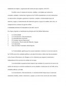 Fundamento de empleo y organización del sistema de apoyo logístico. (SALTE)