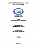 LA FIANZA DEL ESTRANJERO