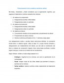 Estructuración de la cadena numérica verbal