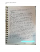 Estructura sociopolitica de mi comunidad