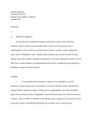 Gestión ambiental.	Medida de Mitigación etc