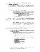 Organización jerárquica de la vida