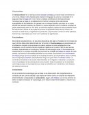 Estructuralismo. Funcionalismo