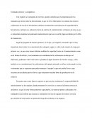 Respuesta a pregunta sobre seguridad eléctrica