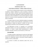 AUDITORES EXTERNOS Y CONSULTORES FISCALES