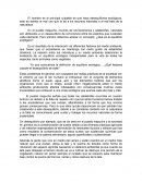 Ensayo de ecologia. El hombre es el principal culpable de que haya desequilibrios ecológicos