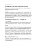 En que campos de la vida Investigamos