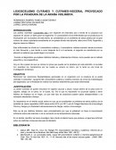 LOXOSCELISMO CUTÁNEO Y CUTÁNEO-VISCERAL PROVOCADO POR LA PICADURA DE LA ARAÑA VIOLINISTA.