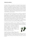 Huella de carbono. Gases de Efecto Invernadero y en especial del CO2